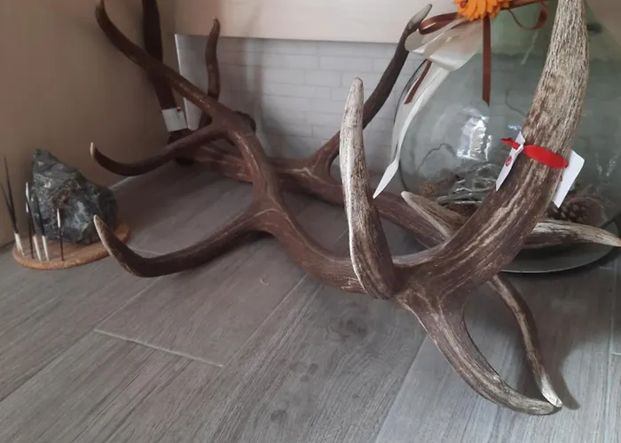 Solimo Bed & Breakfast 3*